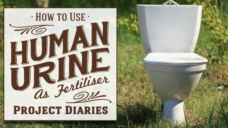 ★ How to: Use Human Urine as Fertiliser (A Complete Step by Step Guide)