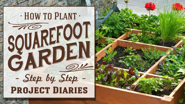 ★ How to: Plant Square Foot Gardening (A Complete Step by Step Guide)