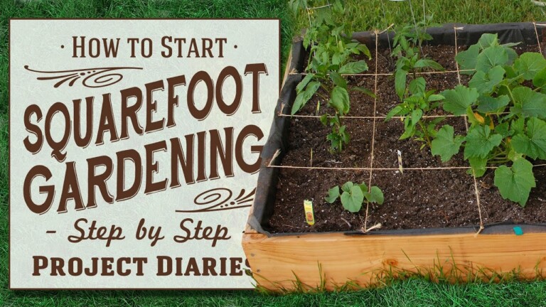 ★ How to: Start Square Foot Gardening (A Complete Step by Step Guide)