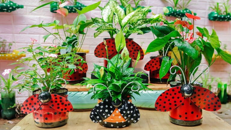 Amazing Ladybug Flower Pots from Plastic Bottles for Your Small Garden
