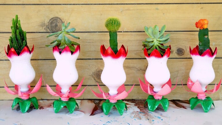 Great Ideas, Recycle Plastic Bottles into Beautiful and Lovely Cactus Pots