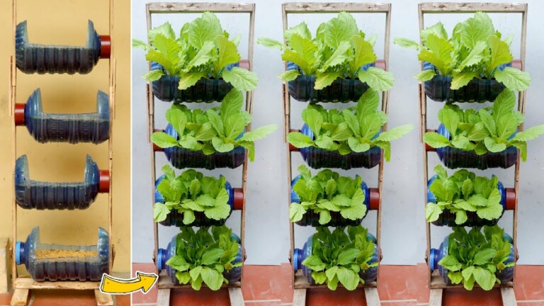 Amazing Vertical Garden from Plastic Bottles, Growing Vegetables at Home
