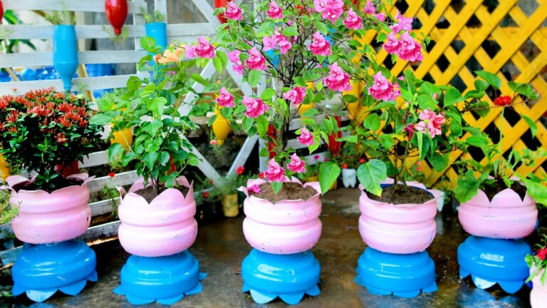 Recycle Plastic Bottle into Lotus Bud Flower Pots for Small Garden