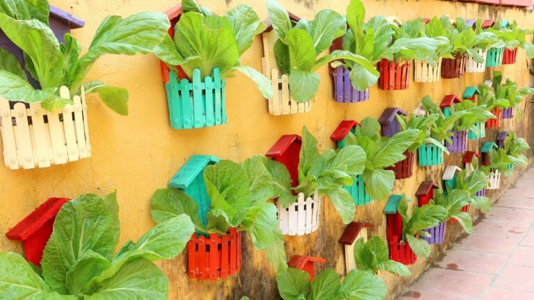 Amazing Colorful Vegetable Garden on Wall, Growing Vegetables at Home