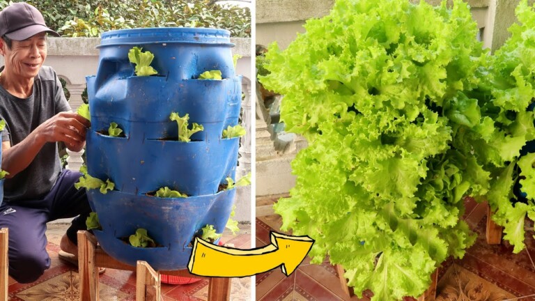 Amazing Idea | Recycling Plastic Drums into Vegetable Towers | TEO Garden