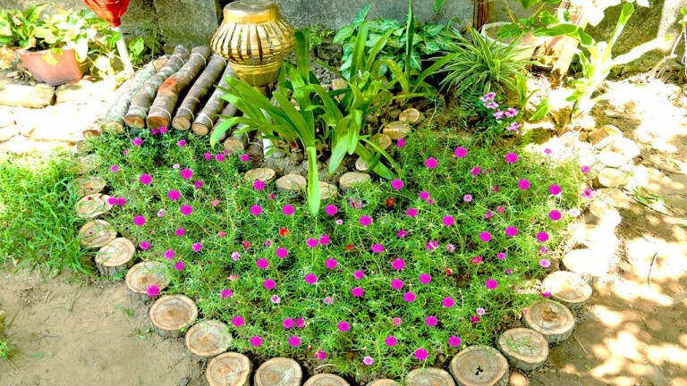 Gardening Ideas are extremely intelligent and creative | TEO Garden