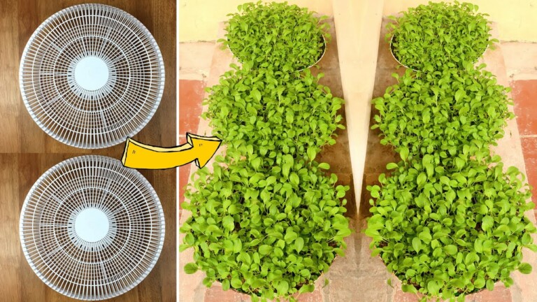 Brilliant Idea | Recycling Fan Cage to Grow Vegetables at Home | TEO Garden