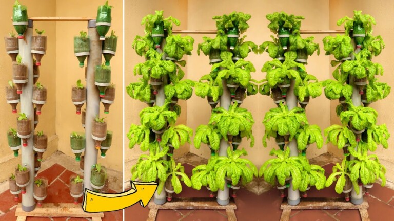 Brilliant Idea | Recycling Plastic Bottles into Vertical Vegetable Garden