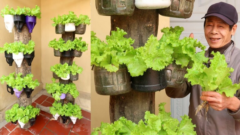 Vertical Vegetable Garden on Dry Trees, Growing Salad at Home for Everyone